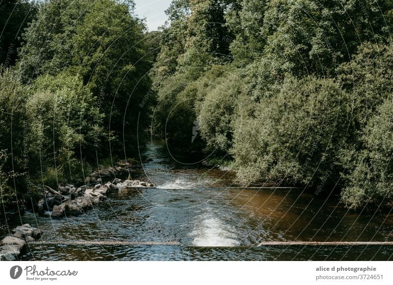 Fluss im Wald Schönheit Schönheit in der Natur Bank Großstadt Stadtleben Wolke - Himmel leer Umwelt idyllisch Landschaft - Landschaft keine Menschen im Freien