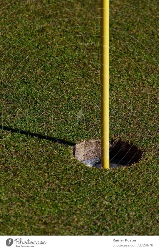 Nahaufnahme von Loch und Flaggenstock auf einem Golfplatz Birdie abschließen Club Textfreiraum Kurs tagsüber Fairway Feld Fahne Spiel Garten Golfschläger