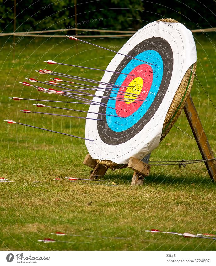 Ziel Bogenschießen Bogensport Bogenschießen-Ziel Pfeil Pfeile Sport Freizeit Natur im Freien Holzplatte hölzern Gras mittelalterlich