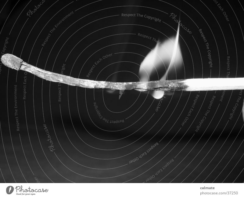.:Burn:. Streichholz brennen Makroaufnahme Nahaufnahme Brand Steichholz Schwarzweißfoto