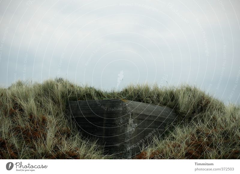 Eine Wunde. Ferien & Urlaub & Reisen Umwelt Landschaft Pflanze Himmel Wolken Dünengras Nordsee Dänemark Bunker Beton bedrohlich eckig einfach grau grün Gefühle