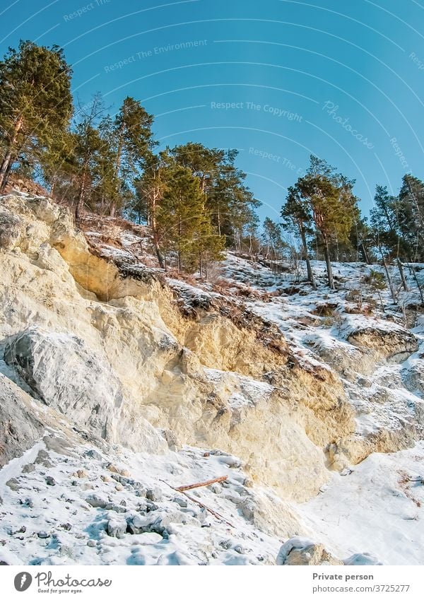 Kiefern in den Bergen gegen den blauen Himmel Berge u. Gebirge Baum Wachstum Felsen Stein Natur Windstille Tag grün Schönheit in der Natur Friedliche Landschaft