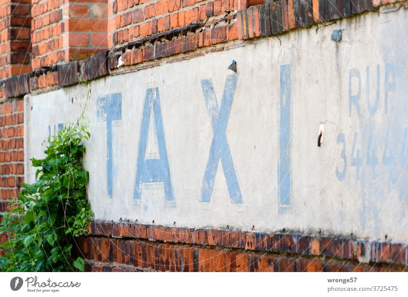 TAXI Ruf mit blauen verwitterten Buchstaben auf weißem Untergrund geschrieben Taxi Taxiruf antik blaue Buchstaben VEB Werbung weißer Untergrund Hauswand Fassade