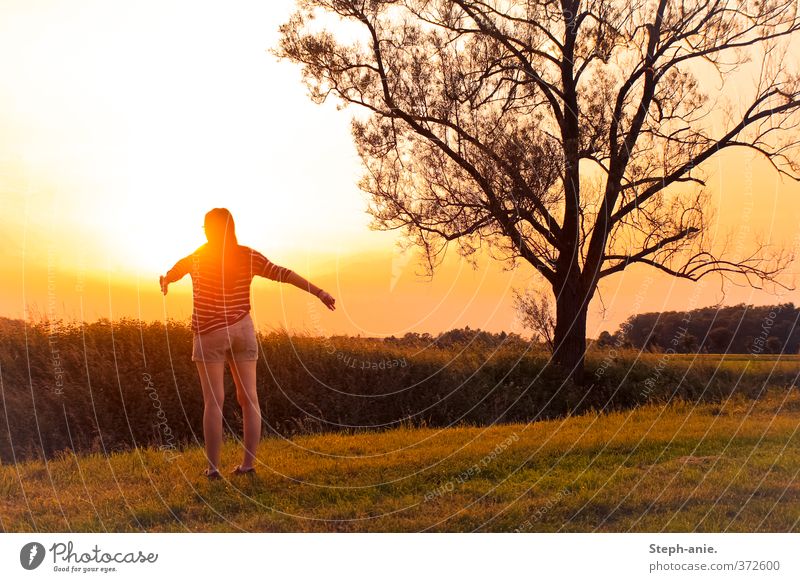 Liebe Sonne, ... feminin Junge Frau Jugendliche 1 Mensch 13-18 Jahre Kind Himmel Sonnenaufgang Sonnenuntergang Sommer Schönes Wetter Baum Wiese Shorts genießen