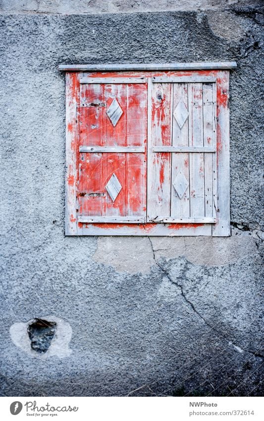 das rote Fenster Ausflug Abenteuer Haus Kunst Printmedien Sommer Wetter Schönes Wetter Wald Menschenleer Hochhaus Ruine Bauwerk Gebäude Mauer Wand Fassade Stein