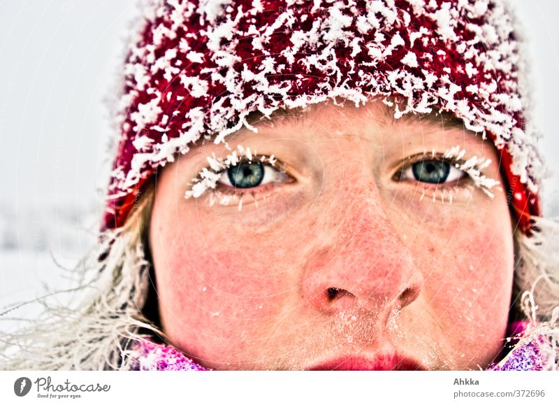 Gesicht einer jungen Frau im Winter, vereiste Wimpern und Haare, sehr kalt schön Junge Frau Jugendliche Leben Kopf Auge glänzend Ferien & Urlaub & Reisen