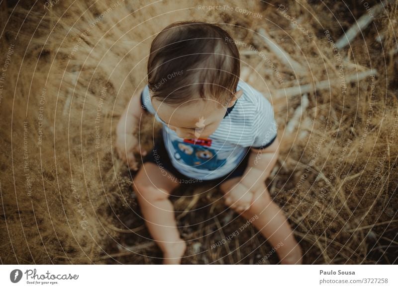 Kleinkind spielt mit Pflanzen Baby 0-12 Monate Blick von oben Natur unschuldig Sommer Sommerurlaub Spielen Lifestyle Tag niedlich Außenaufnahme Freude Kindheit