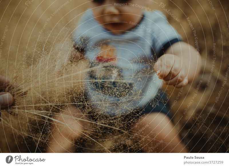 Kleinkind spielt mit Pflanzen Kind Kindheit Baby 0-12 Monate Kaukasier Sommer Sommerurlaub Außenaufnahme Glück Mensch Farbfoto schön niedlich Natur natürlich