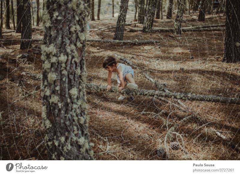 Kleines Mädchen spielt im Wald Kind Kinderspiel Kindheit Spielen Spaß haben unschuldig Abenteuer Natur Holz in den Wald Fröhlichkeit Sommer Kleinkind Mensch Tag