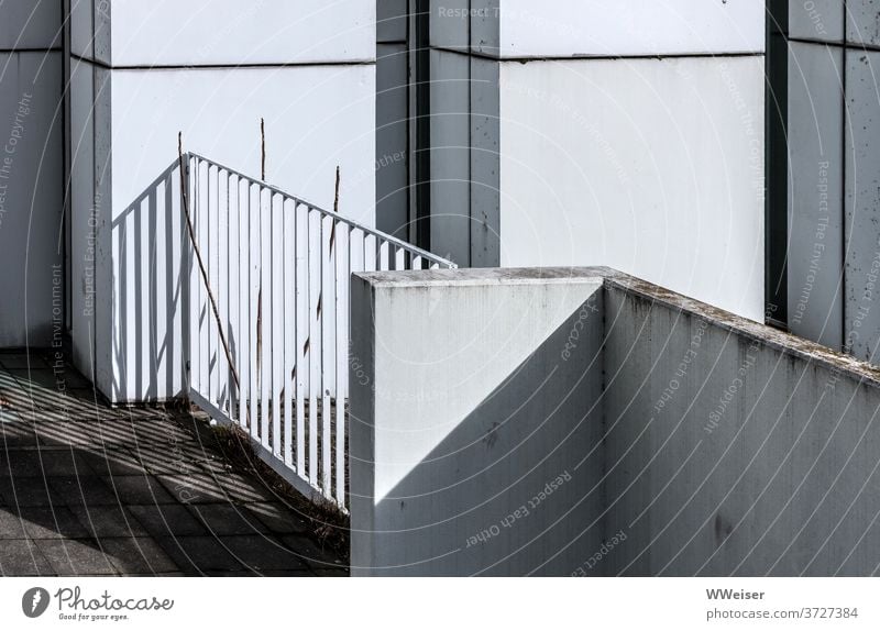 Ein kahler Strauch scheint sich im Licht- und Schattenspiel halb aufzulösen Zweige Fassade Zaun Bauhaus Berlin Wand Mauer Ecken gestaffelt Baum Winter