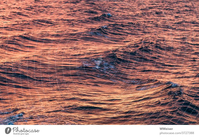 In den Wellen der Bucht von Reykjavik spiegelt sich die Mitternachtssonne Wasser Meer Ozean Wellengang sanft romantisch warm Abend Nacht Sommersonnenwende