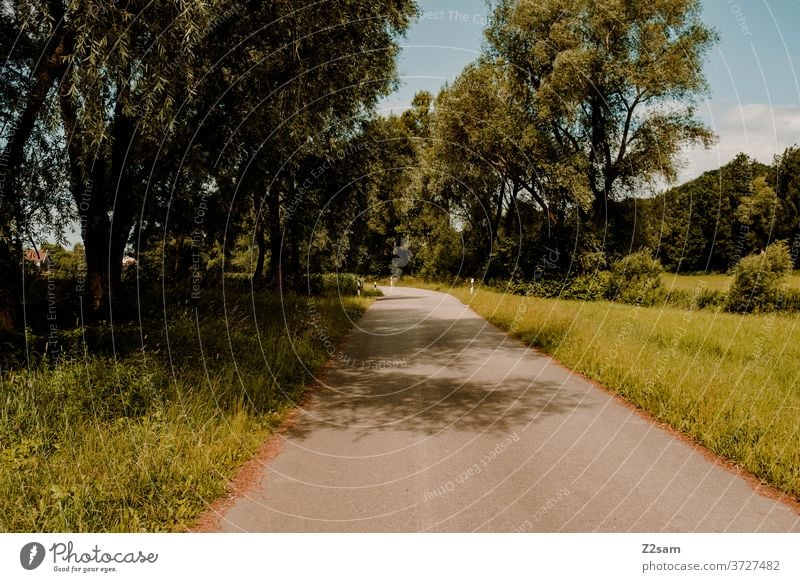 Menschenleere Landstraße in Bayern landstraße menschenleer natur grün sommer sonne radweg rennradfahren bäume sträucher wiese einsam dorf ländlich schatten