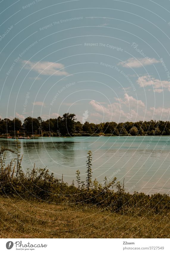 See in Bayern see gewässer badesee badeweiher ufer seeufer wiese himmel wolken sträucher baden erholung entspannung urlaub bayern Natur Außenaufnahme Landschaft