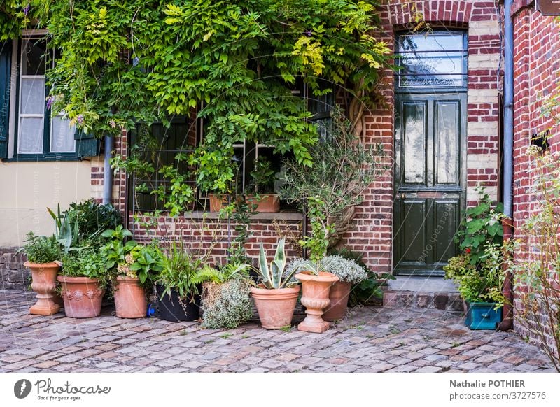 Backsteinhaus mit Pflanzen in gepflasterter Straße Haus Gasthof Ziegel Baustein Kopfsteinpflaster Topfpflanzen Tür Fenster Tourismus Altstadt verwelken