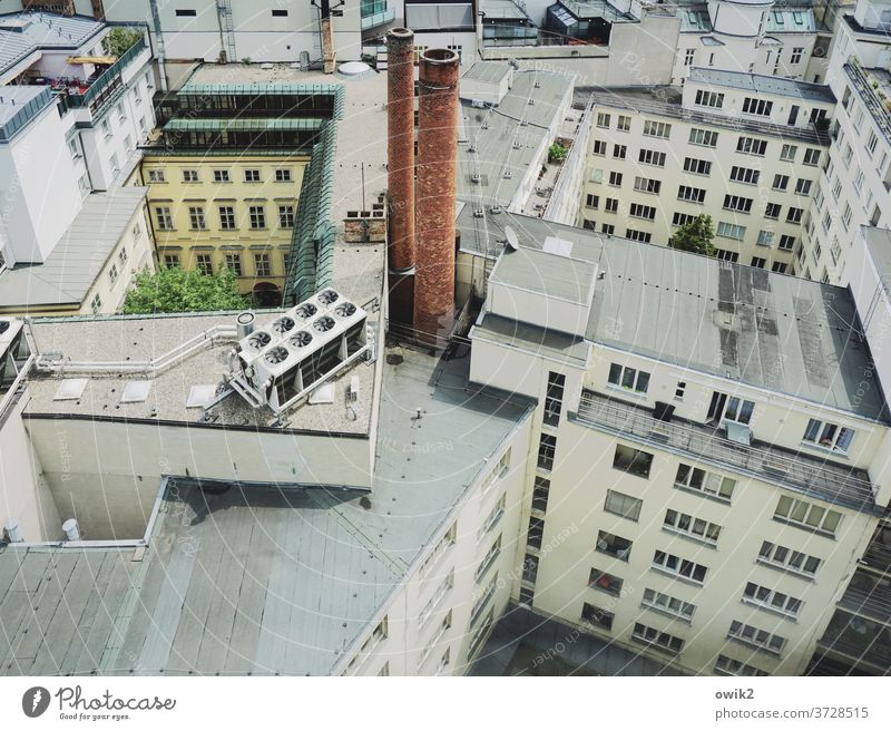 Downtown Wien Großstadt Hauptstadt Österreich Häuser Häusermeer Fenster Ausblick Panorama (Aussicht) Außenaufnahme Stadt Farbfoto Haus Gebäude Licht