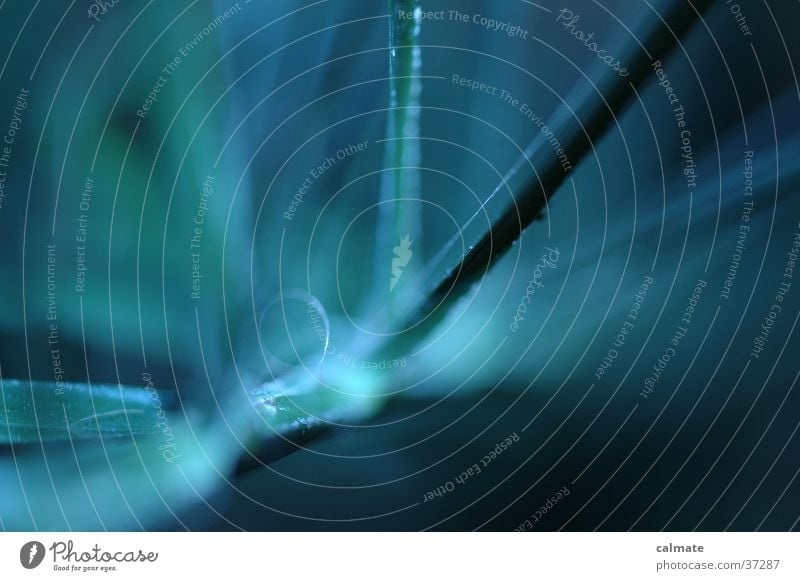 glasecke springen Ecke Fototechnik Schichtglas blau Echke Haarschnitt