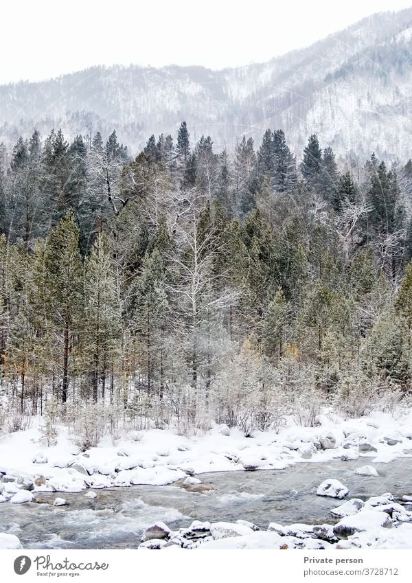 schöne winterliche Berglandschaft, Wald, Berge, Gebirgsbach, Schnee Winter Berge u. Gebirge Landschaft Wildbach malerisch Baum Fluss strömen Natur Wasser Bach