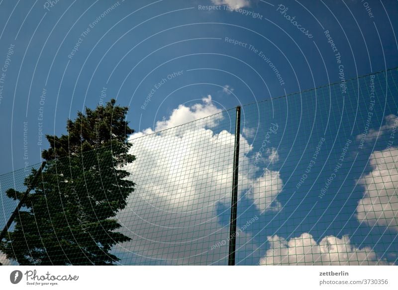 Maschendrahtzaun, Nadelbaum, Wolke, Himmel nadelbaum baun fichte kiefer weihnachtsbaum himmel wolke sommer maschendrahtzaun netzt fangnetzt fußballplatz