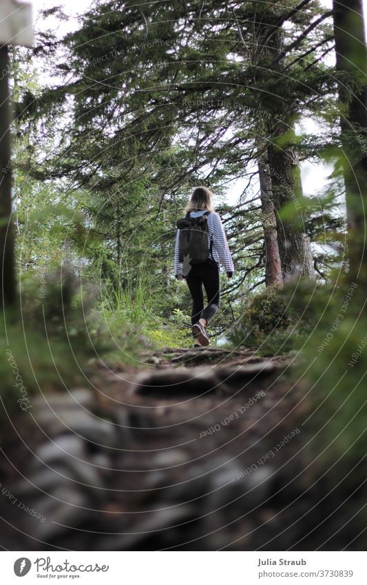 Frau mit Rucksack läuft durch den Wald auf einem Weg Wege & Pfade Waldwege steinig erdig Natur Kiefer Kiefernadeln Sträucher laub Baumstamm Äste und Zweige