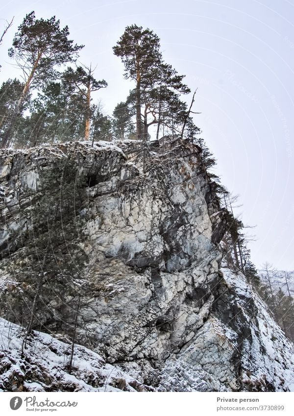 Bäume auf Felsen, Berglandschaft Felsige Klippe Berge u. Gebirge Gipfel Felsklippe Risiko Überwindung Natur keine Menschen reisen Landschaft Himmel felsig