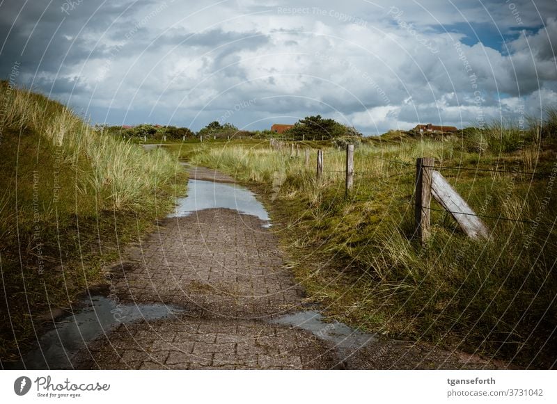 Weg auf Baltrum baltrum Dünen Nordseeinsel Sand Himmel Küste Meer Natur Insel Landschaft Dünengras Ostfriesland Ostfriesische Inseln Außenaufnahme