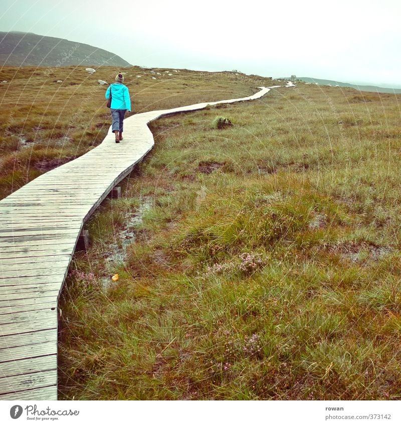 wandern Berge u. Gebirge Mensch Junge Frau Jugendliche Erwachsene 1 Natur Landschaft Herbst Wiese Feld gehen Bewegung Einsamkeit Wege & Pfade Ziel Holzbrett