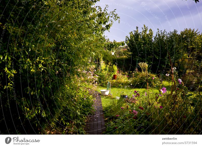 Gärtchen am Abend ast baum blume blühen blüte erholung ferien garten gras himmel kleingarten kleingartenkolonie menschenleer natur pflanze rasen ruhe