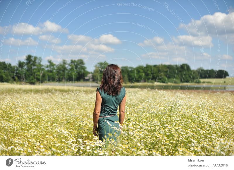 Frau im Feld feminin Mensch Erwachsene Außenaufnahme Natur Ganzkörperaufnahme Kleid grün alleine Rücken Einsamkeit schön Kamille Kamillenblüte kamillenfeld