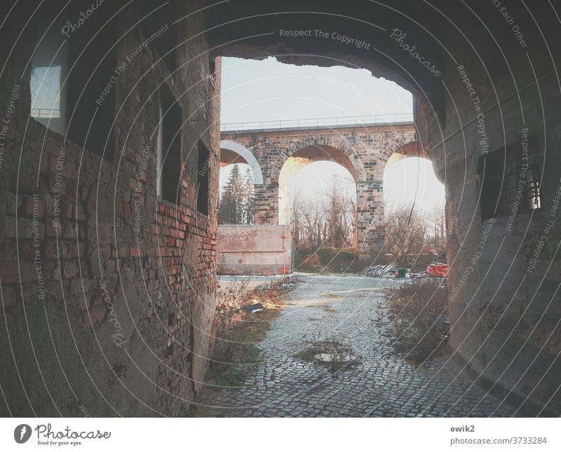 Altes Viadukt Ruine Abrissgebäude Durchblick verlassen trashig Sträucher Kopfsteinpflaster Mauer düster gefährlich Menschenleer Farbfoto Wand Bronx Tag Fenster