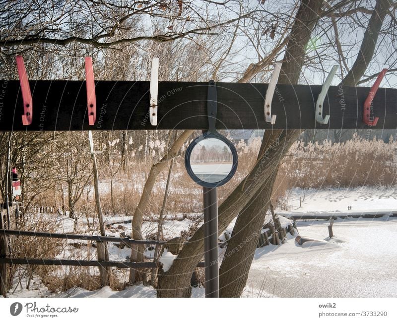 Offener Abend Baum Zweige u. Äste kahl Farbfoto Außenaufnahme Natur Umwelt Menschenleer Glas Spiegelbild Detailaufnahme Strukturen & Formen karg Pflanze Winter