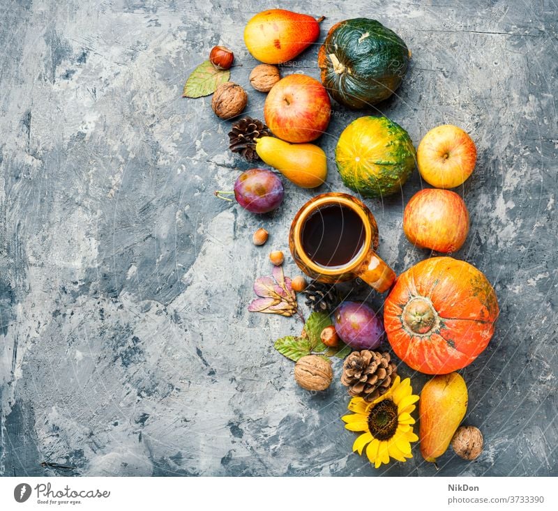 Wunderschöne Herbstkomposition Zapfen fallen Saison Hintergrund Kürbis Becher Tasse Tee trinken Sonnenblume Kopie Erwärmung Blatt Ernte saisonbedingt Gemüse