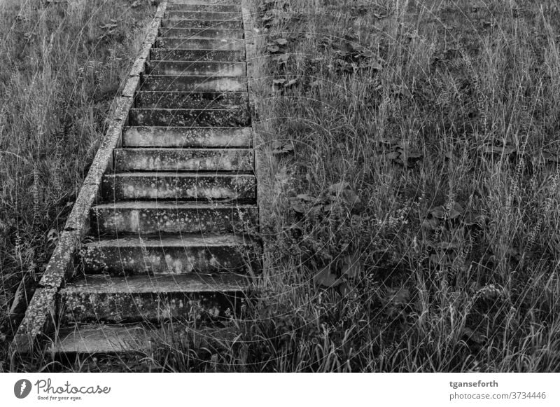 Treppe im Deich Gras Beton Architektur nach oben Wege & Pfade Menschenleer Außenaufnahme Tag Schwarzweißfoto eckig aufwärts abstrakt ästhetisch