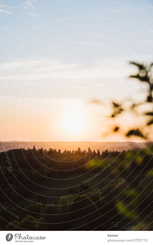 Sonnenuntergang über Wald Gegenlicht Himmel Weite Ruhe Idylle Wolken warm grün blau leuchten schön Naturschönheit draußen Schönes Wetter Licht Sonnenlicht