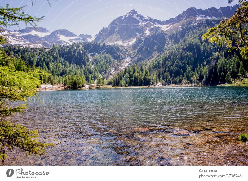 Der Bergsee glänzt im Sonnenlicht an einem Frühlingsmorgen, das frische Grün der Lärchen, die Schneefelder und die Berggipfel bilden die perfekte Umgebung