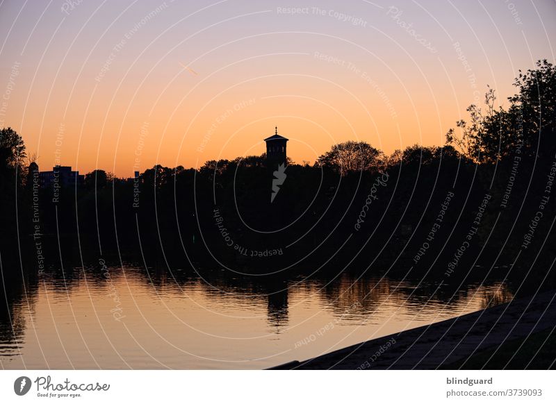 Abendstimmung am Main Sonnenuntergang Wasser Natur Flora Dämmerung Fluß Fluss Kurche Menschenleer Silhouette Idylle Kai Ufer dunkel schwarz rot orange Himmel