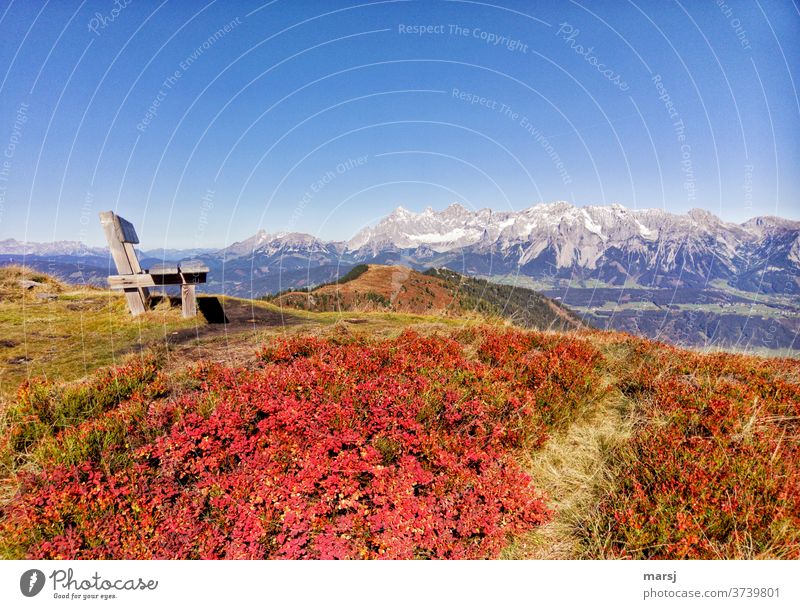 Herbst in den Bergen. Sitzbank neben rotverfärbtem Heidelbeerlaub, mit der Kulisse der Dachsteingruppe Bank Alpen Landschaft Ennstaler Alpen Natur wandern