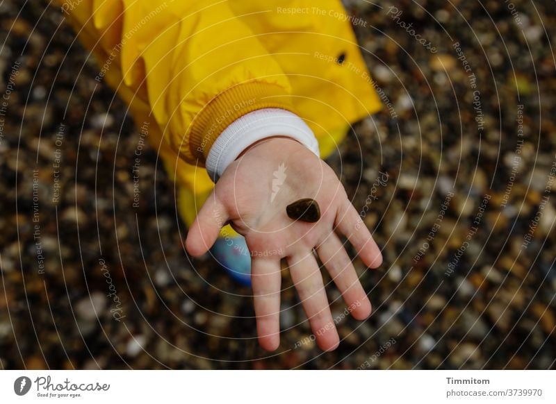 2000. Die kleinen großen Freuden Stein Kinderhand Kleinkind Handfläche zeigen Jacke Kiesstrand Finger Spielen 1 Schwache Tiefenschärfe 1-3 Jahre Bodensee Enkel