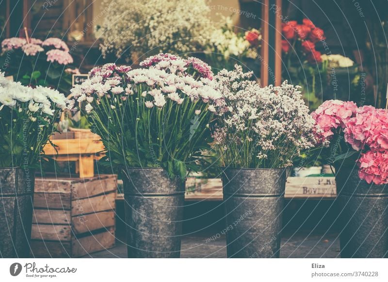 Verschiedene bunte Blumen an einem Blumenstand Blumengeschäft Frühling Vase floral Geschäft Floristik Blüten