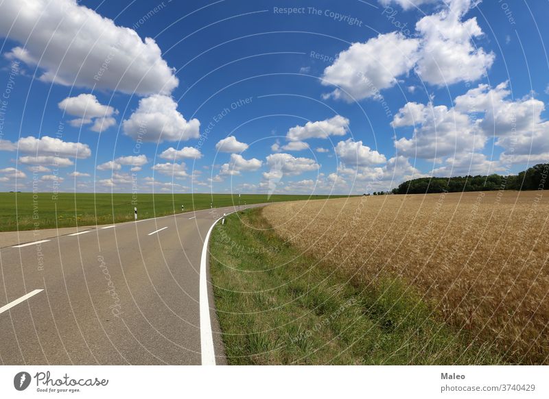 Sommerlandschaft mit blauem Himmel und weißen Wolken Landschaft sonnig Natur Wolkenlandschaft Sonnenlicht Wetter Tag schön übersichtlich wolkig Licht malerisch