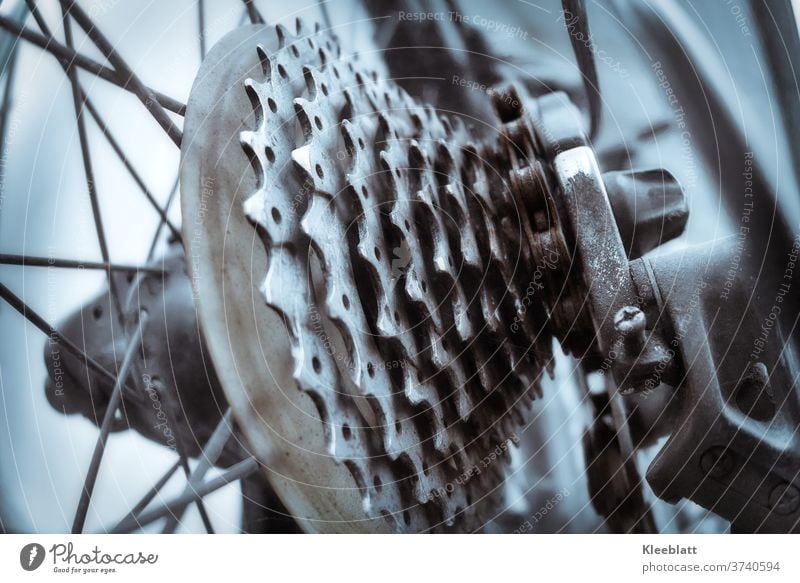 Alte Zahnräder einer Gangschaltung eines ausgedienten Fahrrades in Nahaufnahme Fahrrad, Gangschaltung, Kette, Verrostet, Zahnrad Detailaufnahme Hinterrad, Tag