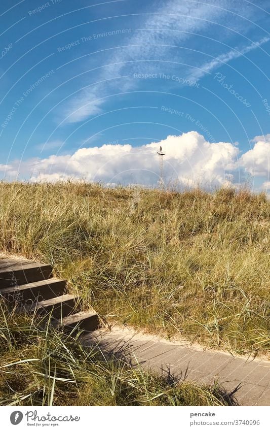 übergangslösung Treppe Dünen Nordsee Küste Strand Sand Ferien & Urlaub & Reisen Meer Natur Erholung Dünengras Nordseeküste Himmel Wolken Landschaft Dänemark