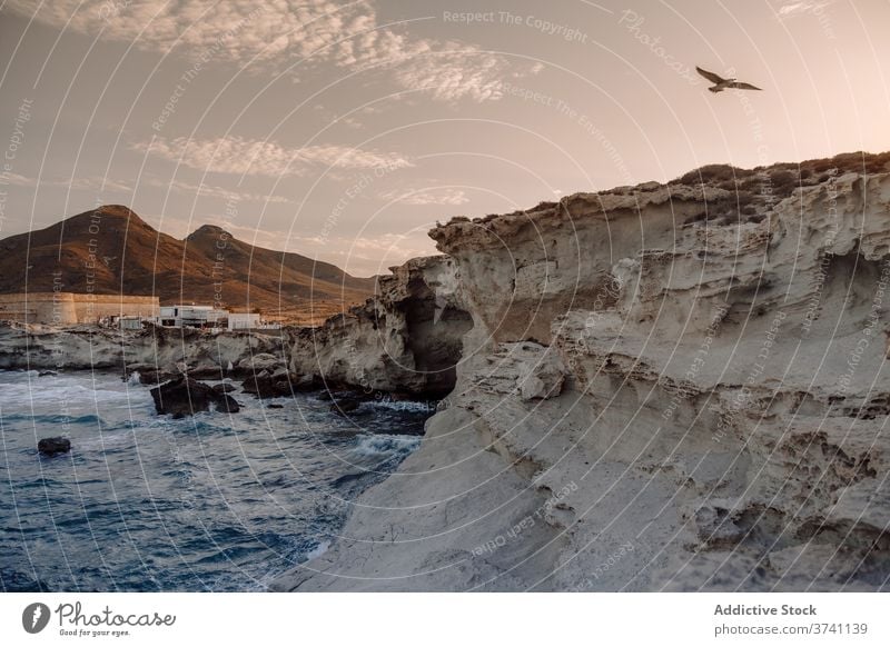 Spektakulärer Blick auf das Meer und die Felsenküste Meereslandschaft felsig Küste MEER atemberaubend spektakulär Landschaft Sonnenuntergang Vogel Fliege Himmel