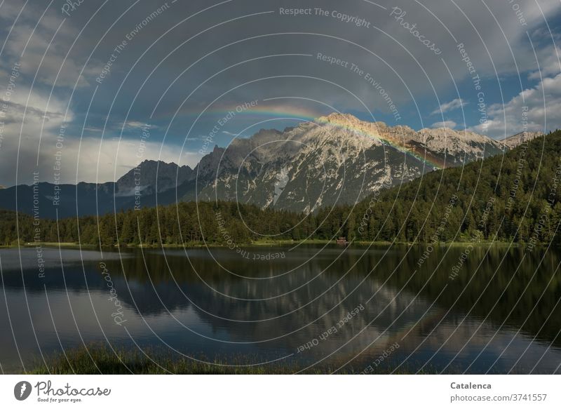 Der See, die Berge, Wälder, Wolken am Himmel und der Regenbogen sind zu sehen Grün Grau Licht Tannen Binsen schwimmen Pflanze Umwelt Natur Landschaft Wasser