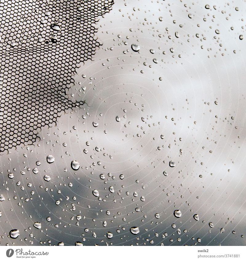 Getröpfel Fenster Fensterscheibe Gaze Fliegengitter Glas Kunststoff Regentropfen Wassertropfen viel klein nah winzig flattern alt abgenutzt zerfetzt schadhaft