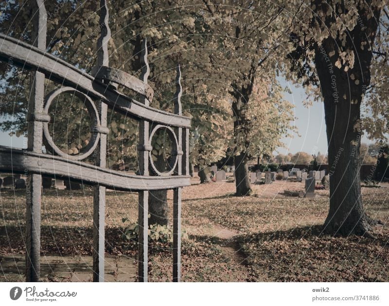 Enge Pforte Friedhof Tor Wege & Pfade Gras Sträucher Baum Trauer Traurigkeit Farbfoto Gedeckte Farben Außenaufnahme Menschenleer Abend Schatten Natur