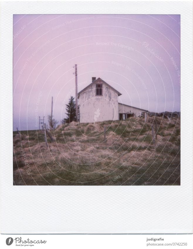 Polaroid eines isländischen Hauses Island Landschaft wohnen Einsamkeit Gebäude Außenaufnahme Menschenleer Farbfoto Hütte Wiese