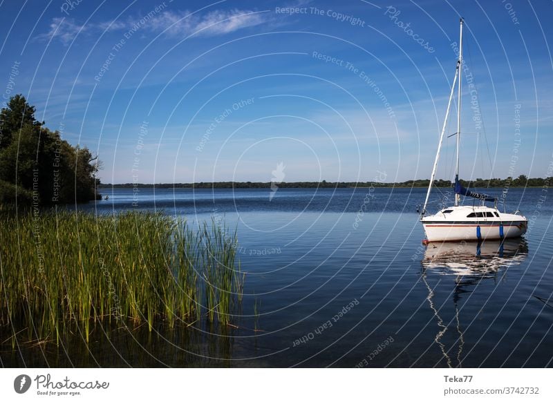 der schaalsee in deutschland im sommer schalsee Schaalsee Natur deutsche natur deutscher See Wasser Sommer Deutschland mecklenburg vorpommern Naturschutzgebiet