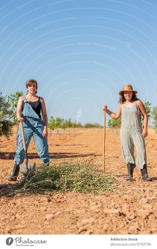 Freundinnen bei der Arbeit im Feld Dorf Sommer Frauen trocknen Gras Harke Gummi Stiefel Landschaft Natur Freiheit Feiertag Pflanze Wochenende Rasen Freundschaft