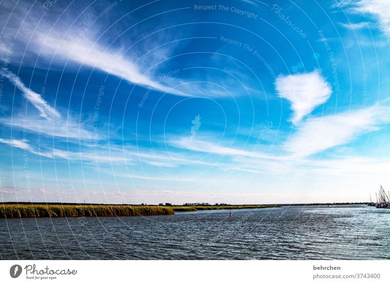 boddenzauber weite Sehnsucht Fernweh träumen blau Himmel Ostsee Darß Meer Strand Wellen Wasser Natur Landschaft Küste Farbfoto Außenaufnahme