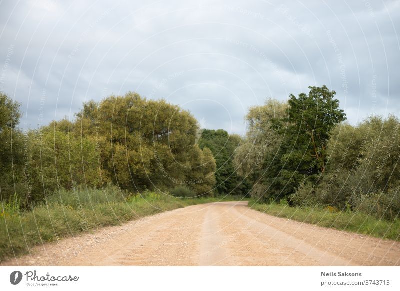 einsame Landstraße am Morgen Straße Wald Natur Baum Bäume Weg Herbst Landschaft grün Gras Frühling Wälder Holz ländlich Laubwerk fallen Fahrspur im Freien